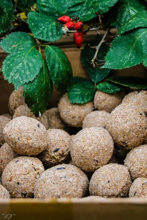 Anhaltiner Meisenknödel 100St. ohne Netz Rindertalg Wildvögel Energiequelle Fett - Bild 2 von 4