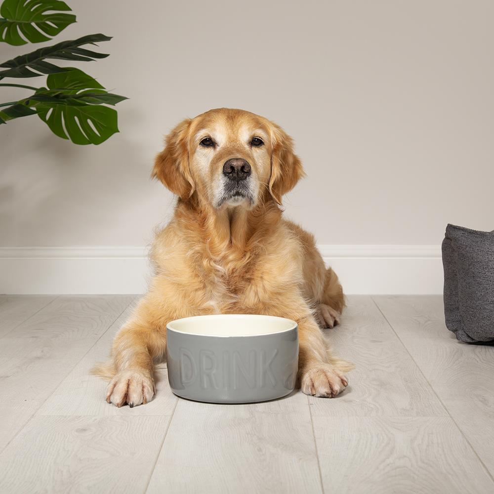 Dog Water Bowl Small Pet Dogs Drink Drinking Bowls Stoneware 20cm Grey Scruffs