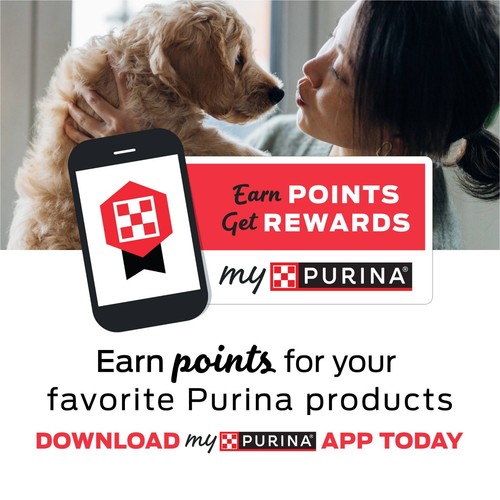 (2 PACK) Purina Busy Bone Extra Small Dog Treats with...35.4 oz (60 Count) (W16) - Picture 10 of 12