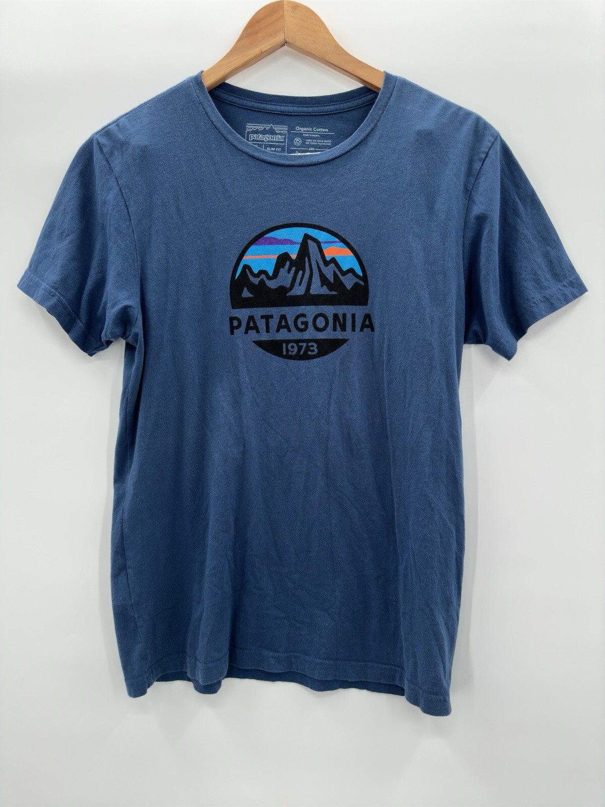 Patagonia Fitz Roy Men's Size Small Slim Fit Organic Cotton Logo Blue T-Shirt