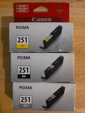 Inchiostri stampante Canon Pixma 251 nuovi originali