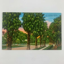 Postcard Louisiana New Orleans LA St Charles Avenue 1940s Linen Unposted