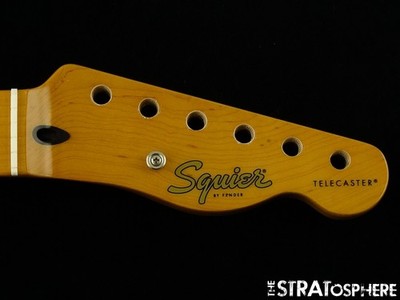 Fender Squier Classic Vibe 50s Telecaster NECK Tele Tinted Guitar Part Maple