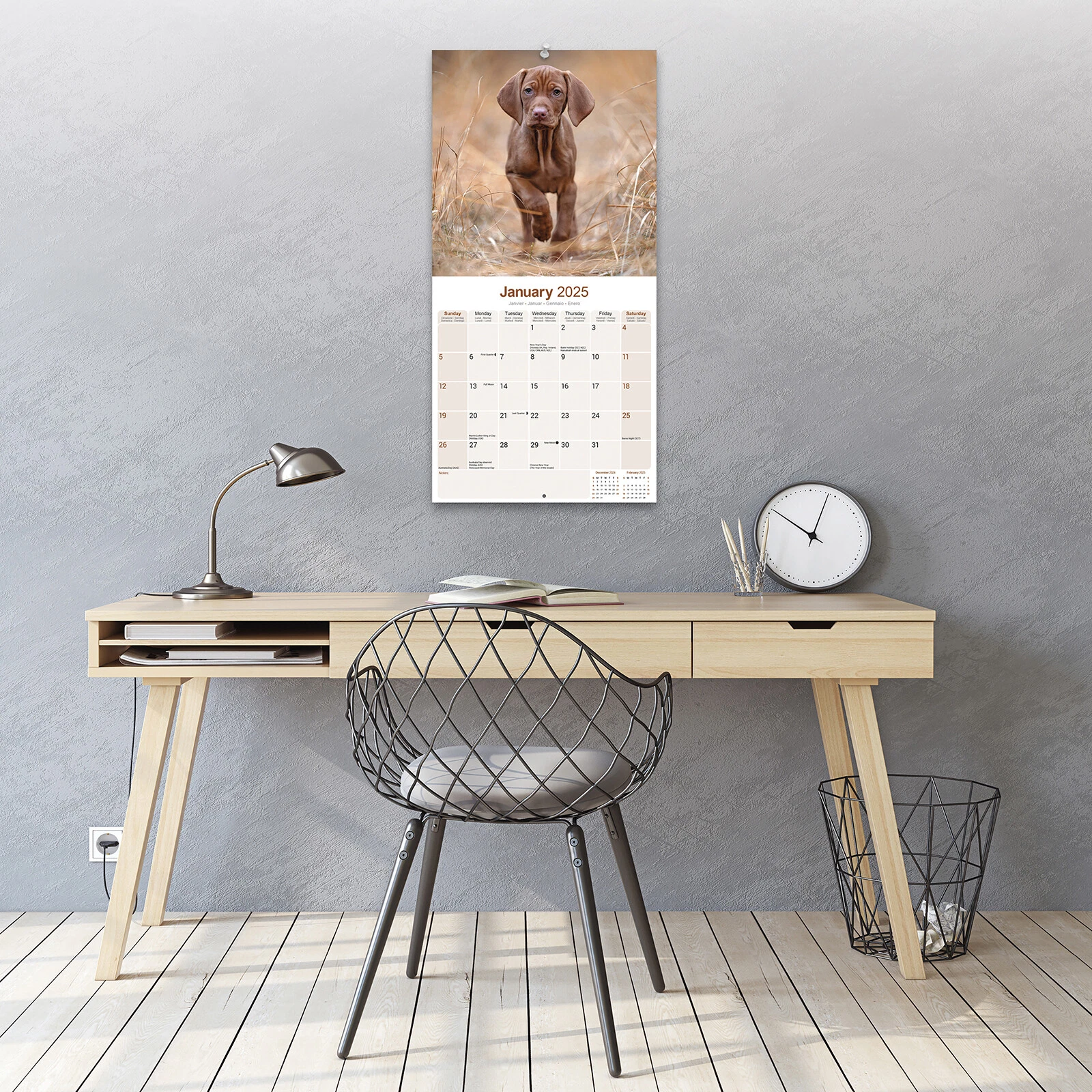 Vizsla Calendar 2025 Dog Breed Gift Wall Calendar 15% OFF MULTI ORDERS!
