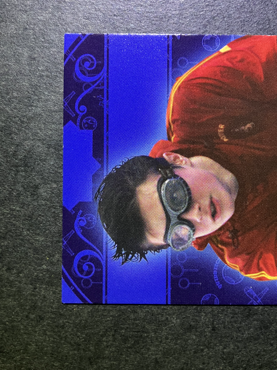 Quidditch Harry Potter Evolution TCG Cards English Italy Panini