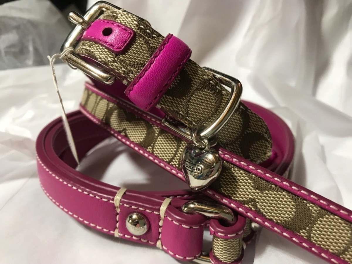 NEW COACH SET PINK BOW SIGNATURE EXTRA SMALL DOG COLLAR & LEASH S