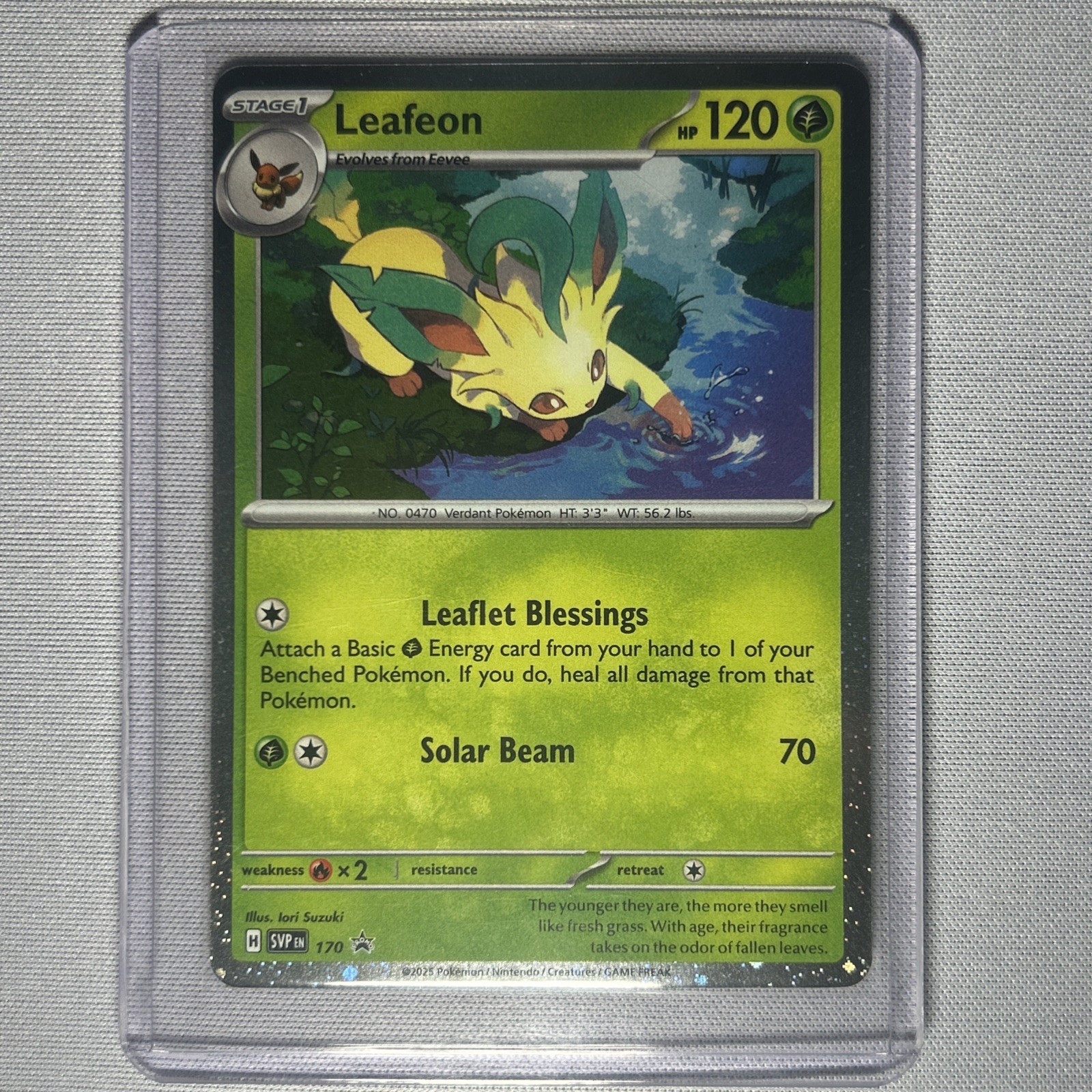 Pokemon Leafeon SVP 170 Scarlet & Violet Holo Black Star Promo Card NM Condition