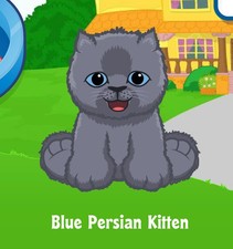 Webkinz Classic Blue Persian Kitten CODE ONLY
