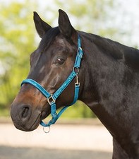 Halfter-Set, Stallhalfter + Strick, RISING STAR, Pailettenbesatz, total schick!