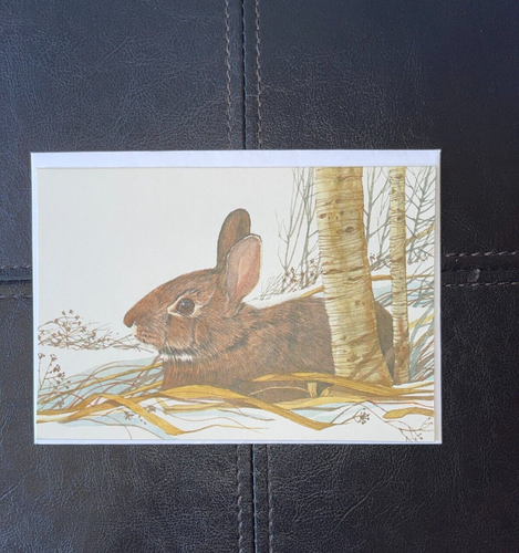 Vintage Current Greeting Cards Lot Of 8 w/Envelopes American Wildlife Possum Fox - Picture 8 of 11