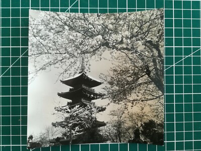FF625 Pressefoto um 1950 Kirschblüte und fünf Pagoden im Ueno Park, Tokio