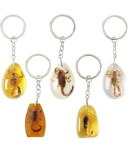 5pcs Gold Scorpion Keychain Pendants 🦂