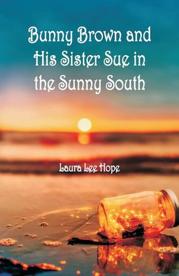 Bunny Brown and His Sister Sue in the Sunny South Laura Lee Hope Taschenbuch