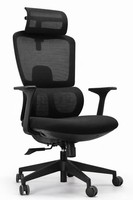 Ergonomischer BüRostuhl Mit Verstellbarem KopfstüTzen- Und Mesh-RüCken