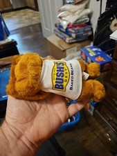 Bush  s Baked Beans Plush Duke Promotional Stuffed Animal 1999 - M1