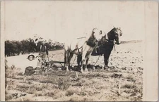 Americana RPPC Postcard Farm Scene Farmer Wife Dog + Horses With Plow