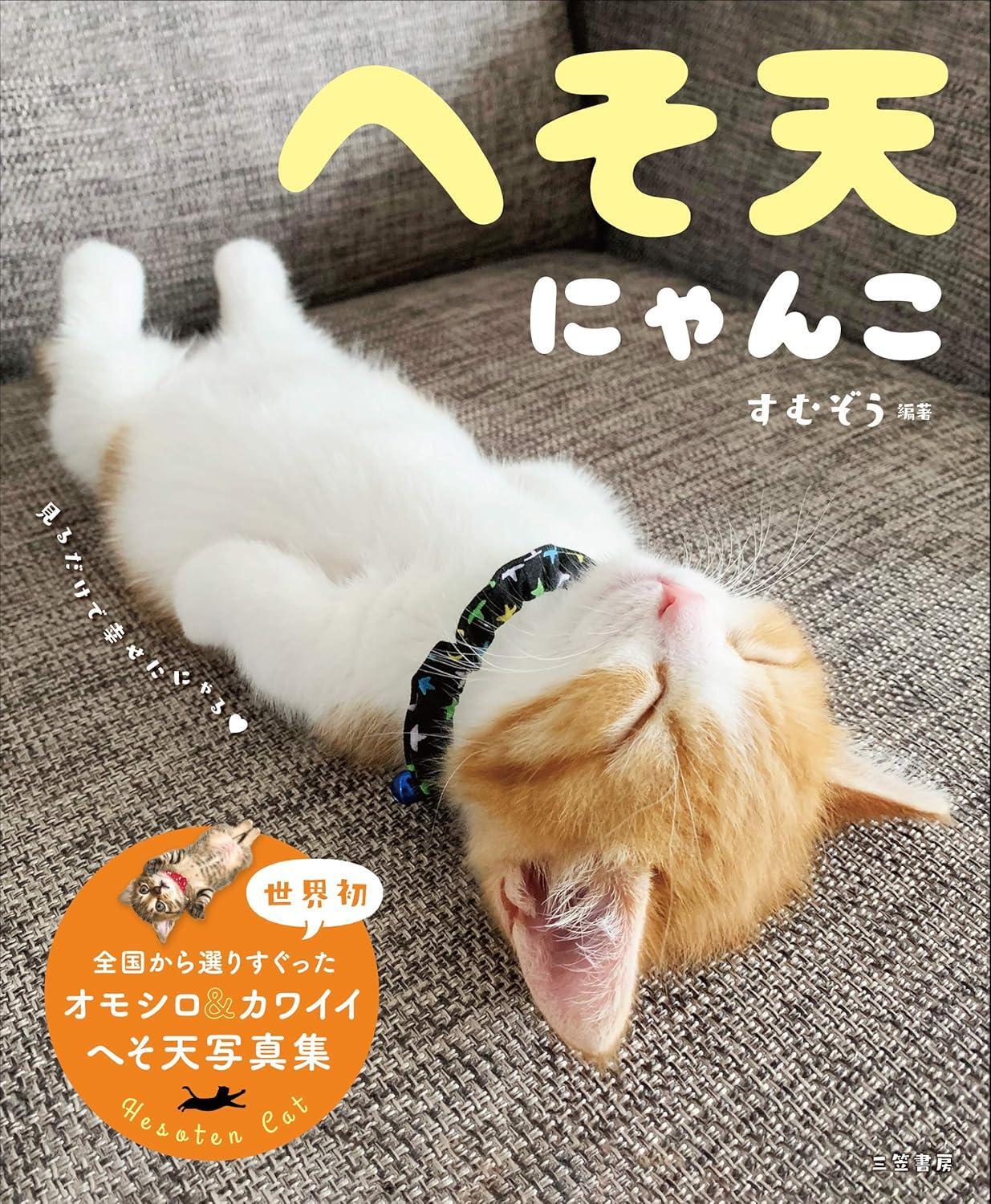 Book Belly Up Cats Japanese Sumuzo Paperback Cat Photography