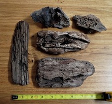Lot of 5 Sm/Med Driftwood Pieces Lightweight ...