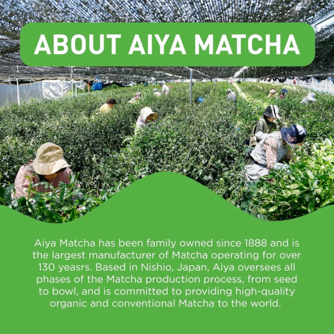 Aiya Certified Organic Culinary Grade Matcha Green Tea Powder, 100 g, LOT OF 2