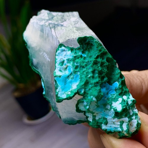146GNatural malachite with gypsum Symbiotic mineral specimen - 第 15/24 張圖片