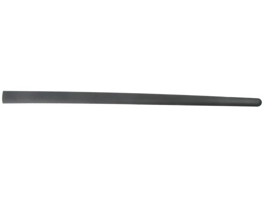 Left Front BLIC 5703-04-9524571P Trim/Protection Strip, wing for VW