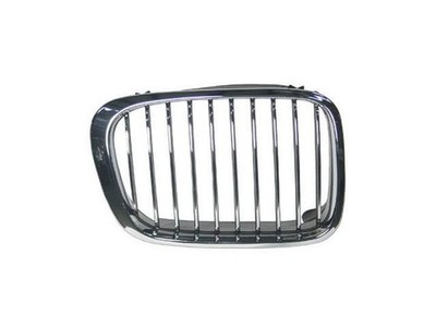 Right - Passenger Side Action Crash Grille Assembly fits BMW 320i 2001 53XTYBZG