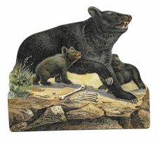 Victorian Trading Card - Willimantic Thread - "Bear Die Cut" (2L6)