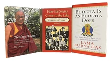 LOT: 3 Books on Buddhism Healing Anger Dalai Lama History in America Surya Das