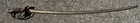 Civil War Model 1840 Cavalry Saber Sword Marked PDL, Dragoon