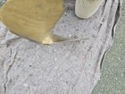 Picture 6 of 10