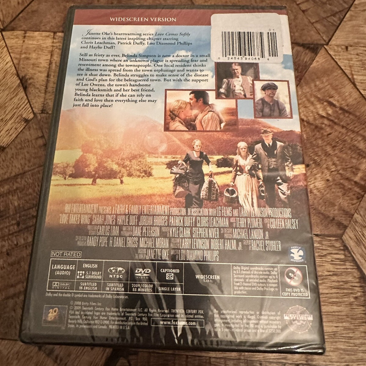 Love Takes Wing (DVD, 2009) Sarah Jones, Haylie Duff Christian