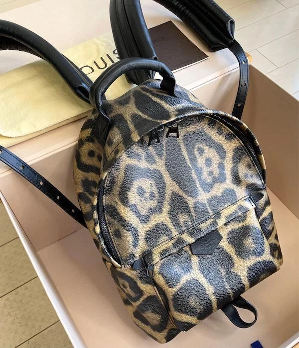 Mochila Louis Vuitton Palm Springs PM