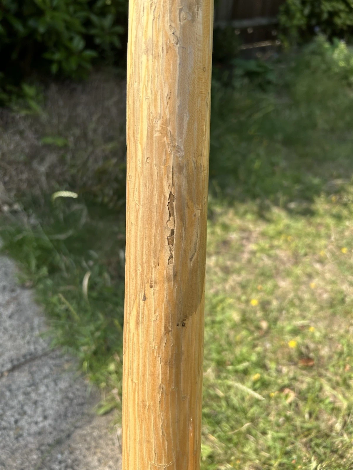 Picture 12 of 24