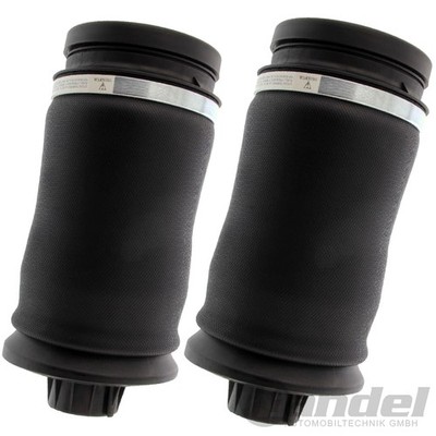 2x LUFTFEDER LUFTBALG HINTEN passend für MERCEDES GLE GLS GL M-KLASSE W164 W166