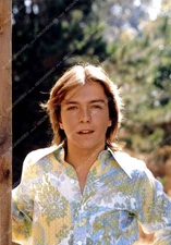 8b20-16844 young David Cassidy in the outdoors 8b20-16844 8b20-16844