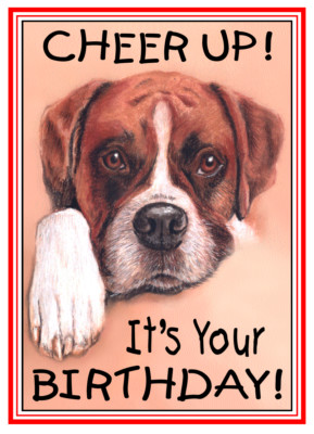 CHEER UP! IT'S YOUR BIRTHDAY! BOXER HUND NIEDLICHE LUSTIGE KARTE KOSTENLOSER VERSAND 1. KLASSE
