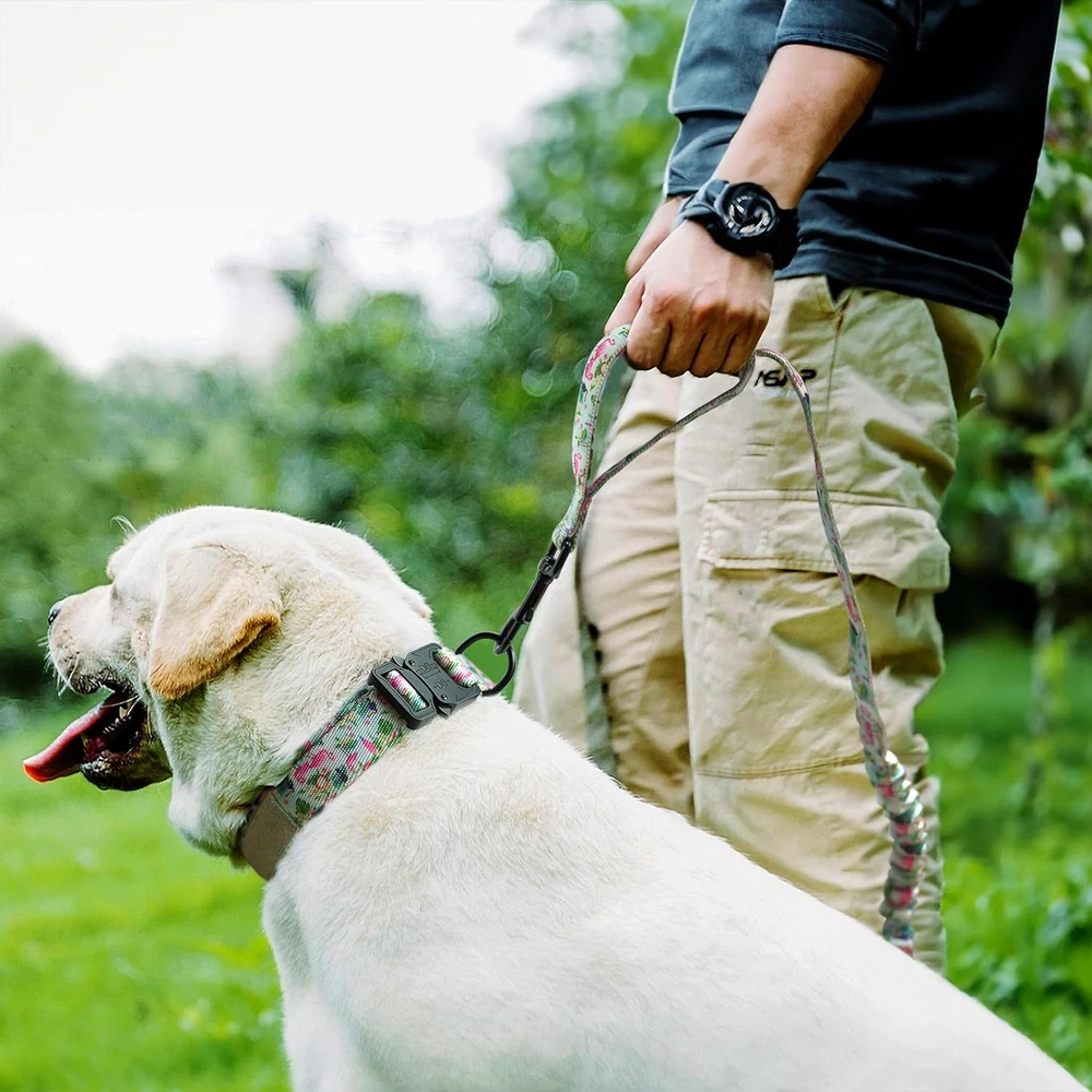 Dog Harness Collar 5Ft Leash Poop Bag Holder Set, Reflective Adjustable No-Pull Dog Harness Collar 5Ft Leash Poop Bag Holder Set, Reflective Adjustable No-Pull
