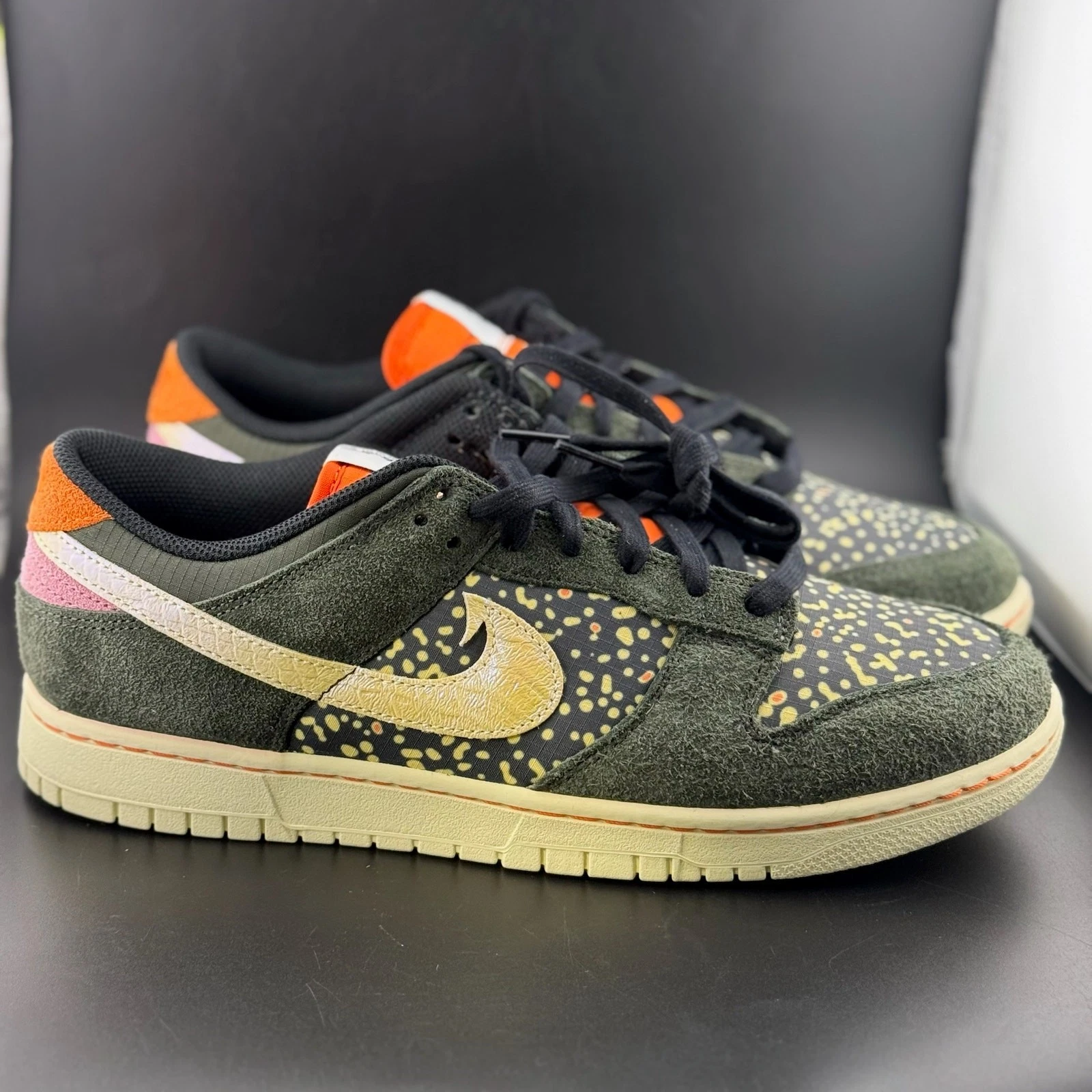 Nike Dunk Low SE Gone Fishing Rainbow Trout Sz 11