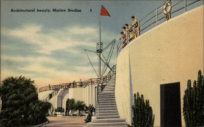 Marineland Florida architecture winding stairway Marine Studios ~ 1940s postcard