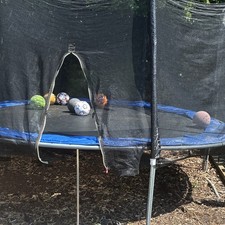 Outdoor Round Spring-Powered Trampoline with Safety Enclosure Net, Black/Blue