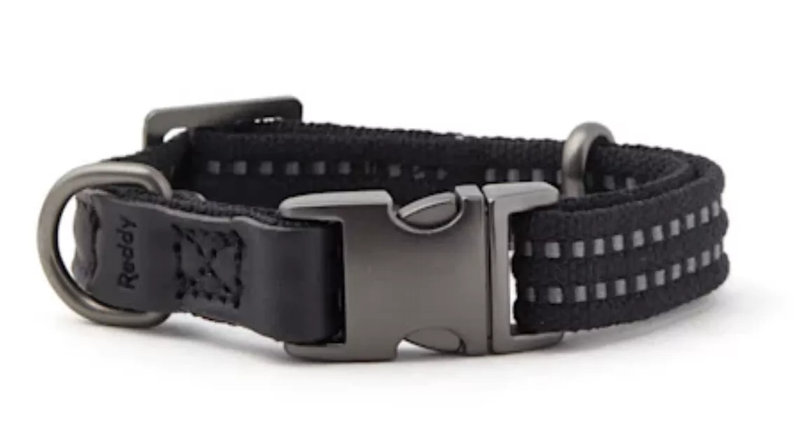 Reddy webbed dog best sale collar