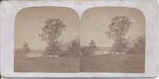 1870s STEREOVIEW MERRIMACK VALLEY VIEWS OLD OAK AT BUTTONWOODS HAVERHILL MA