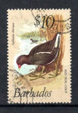 Barbade 1979-83 Billet De Poste 10 $ Moorhen SG 638 FU CDS Oiseau