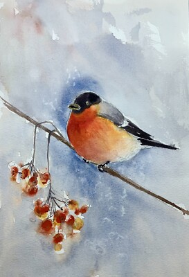 Original Watercolor Picture Winter Bird Painting Birthday Gift Idea