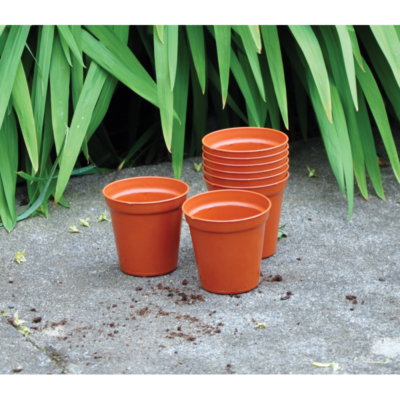 where can i buy terrarium plants Buy Versatile round terrarium (10in Ht) online from Nurserylive at lowest  price