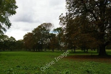 Photo 6x4 Morden Hall Park Morden/TQ2568  c2011