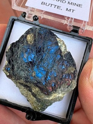Covellite,mostly blue, some purple, Leonard mine, Butte, MT, USA, thumbnail