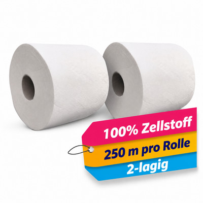 2x250m  Putzrollen Zellstoff  für Werkstatt Papierrolle Papier Putzpapie 2-lagig