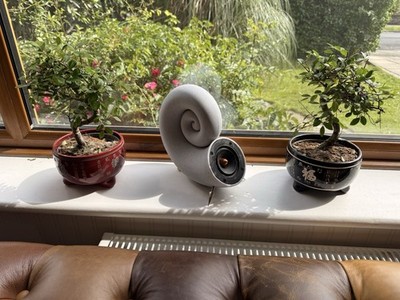   Full Range Lautsprecher - Handarbeit | Dayton Audio PS95 | Sonderfarben 