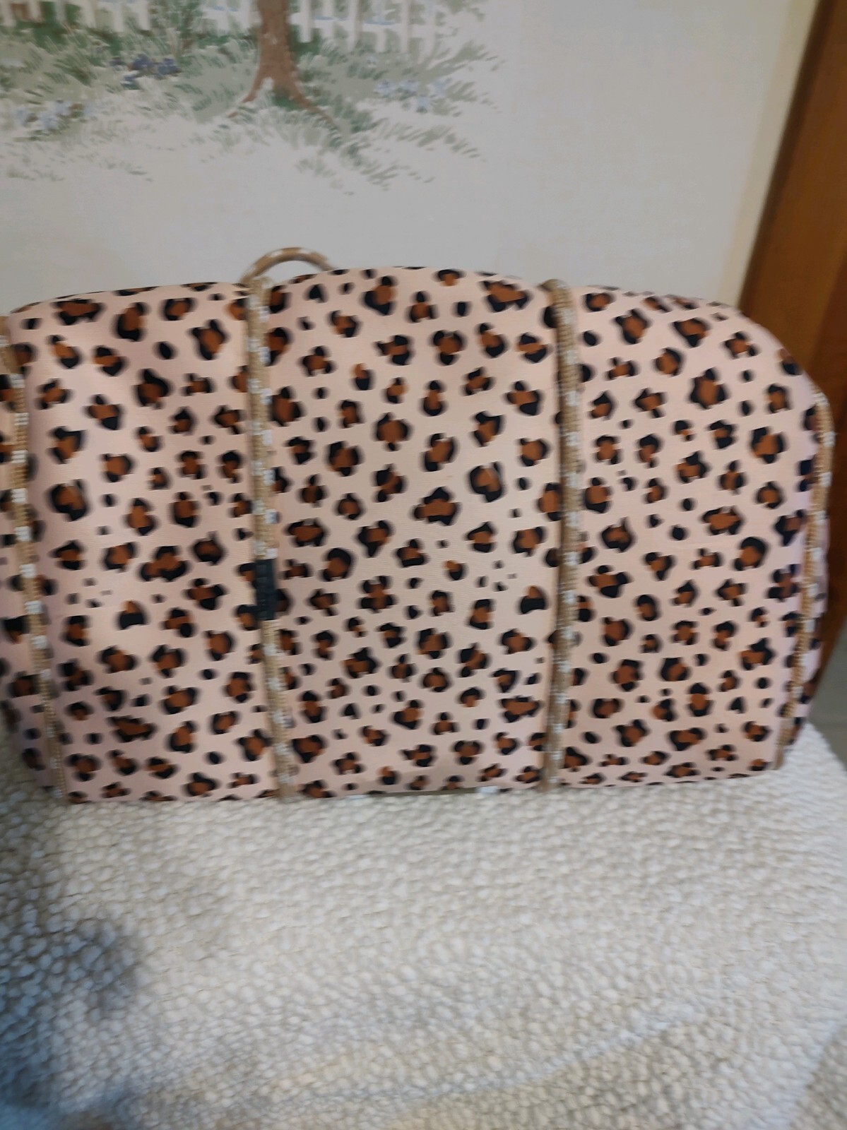 Picture 3 of 6